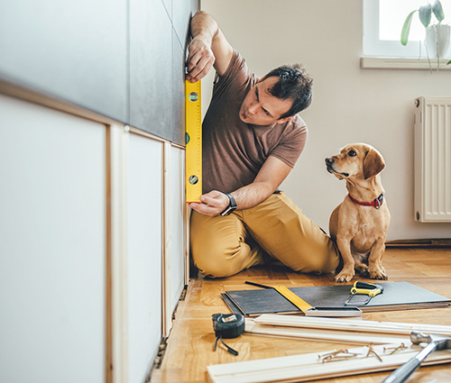 Man Doing Repairs Dog Looking On